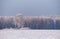 Frozen birch trees covered with hoarfrost and snow