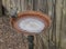 Frozen Bird Bath