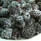 Frozen Black berries