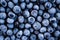 Frozen blueberries as background.  Healthy organic fruit. Natural antioxidant. Close up