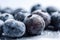 Frozen Blueberries On White Background. Generative AI