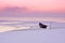 frozen boat on the lake Razelm