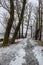 frozen bodies of water in deep winter under snow