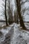 frozen bodies of water in deep winter under snow