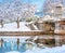 Frozen Boston Common Park in the Winter