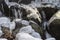 Frozen branch in the Apennines in winter