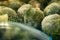 frozen broccoli florets and brussel sprouts inside freezer fridge closeup