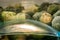 frozen broccoli florets and brussel sprouts inside freezer fridge closeup