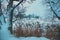 Frozen brook covered with deep snow