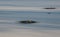 Frozen buoys on the ice of the lake