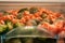 frozen carrots, broccoli florets, brussel sprouts inside freezer container