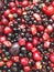 Frozen cherries, blueberries, plums, black currants