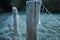 Frozen cobwebs or spider webs on a fence post on a frosty morning