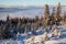 Frozen coniferous forest with fir trees snow covered in the ski resort at sunset