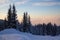 Frozen coniferous forest with fir trees snow covered in the ski resort at sunset