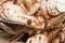Frozen Cookie flavour gelato - full frame detail. Close up of a white and brown surface texture of Ice cream covered with crispy