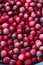 Frozen cranberries background, healthy berries
