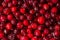 Frozen cranberry texture