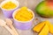 Frozen creamy ice yoghurt with fresh mango