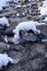 Frozen creek running through the woods, with snow covered rocks and logs. Taken in William O`Brien State Park Minnesota