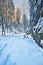 Frozen creek in Sucha Bela gorge in Slovak Paradise during winter