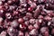 Frozen currants texture. Close-up of frozen berries in a bowl. Organic food. Food preservation