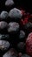 Frozen dark black currant berries raspberries