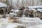 Frozen Dauda waterfall in winter. Calm, cold day in the snowy winter forest