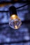 Frozen decorative light bulb on outdoor with a blurry background
