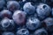 Frozen Delight: Macro Shot of Blueberries Surrounded by Ice, Generative AI