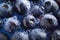 Frozen Delight: Macro Shot of Blueberries Surrounded by Ice, Generative AI