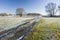 Frozen dirt road, frost on the field and trees, Nowiny, Poland