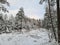 Frozen ditch in the snowy winter forest