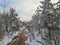 Frozen ditch in the snowy winter forest