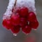 Frozen drop of water on clusters