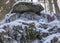 Frozen fast flowing spring water, icy rocks and water stream, frosty tree roots, beautiful ice and water texture