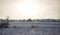 A frozen field with snow and forest in the background in the middle of nowhere on a cold clear day in winter