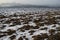 Frozen field with snow in the winter