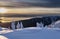 Frozen fir trees on montain top with ocean view  at sunset.