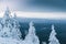 Frozen fir trees on the mountainside