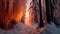 Frozen Fire: A Breathtaking Photoshoot Of Freezing Forests At Sunrise