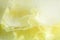 Frozen flora - yellow carnation
