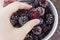 Frozen food, frozen blackberries, frozen berries. Frozen Blackberry Close-Up