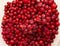 frozen food, frozen lingonberries. frozen lingonberries in a container. preservation of vitamins