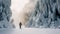 Frozen Forest: A Captivating Photoshoot Of Geysers Kangchenjunga Skiing