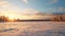 Frozen Forest Landscape Serene Winter Scenery In Rural Finland