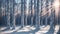 The Frozen Forests of Frost\\\'s Frontier