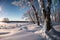 The Frozen Forests of Frost\\\'s Frontier