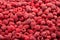 Frozen fresh raspberry. Food background. Top view.