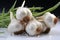 Frozen Garlic Clove on Black background. A high quality image making by generative ai